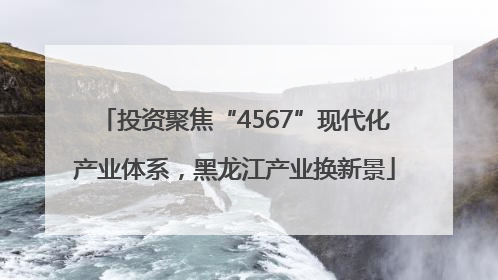 投资聚焦“4567”现代化产业体系，黑龙江产业换新景