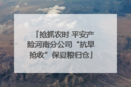 抢抓农时 平安产险河南分公司“抗旱抢收”保夏粮归仓