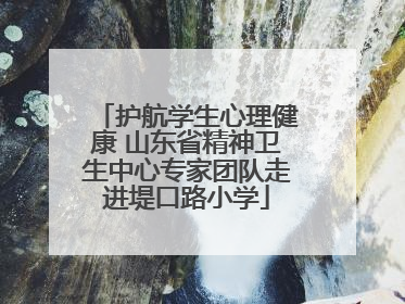护航学生心理健康 山东省精神卫生中心专家团队走进堤口路小学