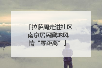 拉萨周走进社区 南京居民藏地风情“零距离”