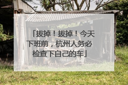 拔掉！拔掉！今天下班前，杭州人务必检查下自己的车