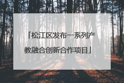 松江区发布一系列产教融合创新合作项目