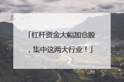 杠杆资金大幅加仓股，集中这两大行业！