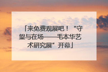 来免费观展吧！“守望与在场——毛本华艺术研究展”开幕