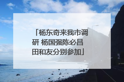 杨东奇来我市调研 杨国强陈必昌田和友分别参加