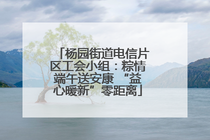 杨园街道电信片区工会小组：粽情端午送安康 “益心暖新”零距离