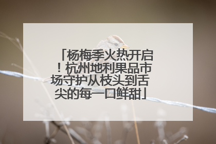 杨梅季火热开启！杭州地利果品市场守护从枝头到舌尖的每一口鲜甜