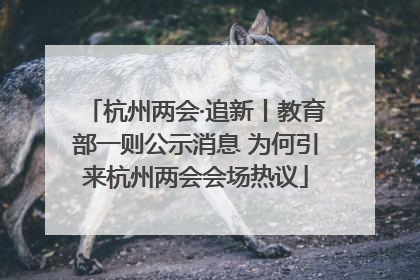 杭州两会·追新丨教育部一则公示消息 为何引来杭州两会会场热议