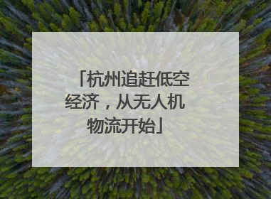 杭州追赶低空经济，从无人机物流开始