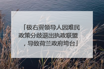 极右翼领导人因难民政策分歧退出执政联盟，导致荷兰政府垮台
