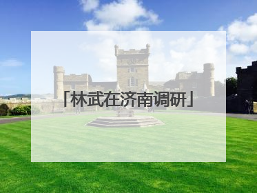 林武在济南调研