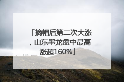 摘帽后第二次大涨，山东墨龙盘中最高涨超160%