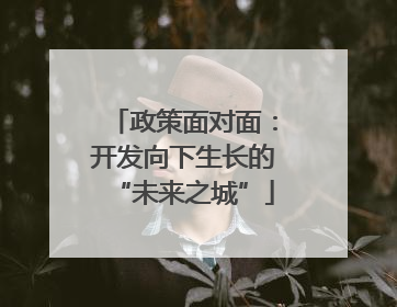 政策面对面：开发向下生长的“未来之城”