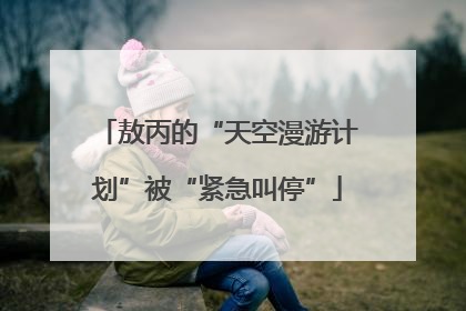 敖丙的“天空漫游计划”被“紧急叫停”