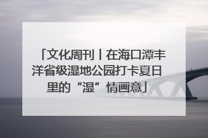 文化周刊丨在海口潭丰洋省级湿地公园打卡夏日里的“湿”情画意