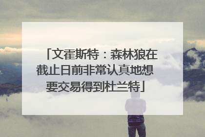 文霍斯特：森林狼在截止日前非常认真地想要交易得到杜兰特