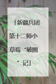 新疆兵团第十二师小草莓“破圈”记