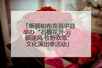 新疆和布克赛尔县举办“石榴花开·云骥逐风·牧野欢歌”文化演出季活动