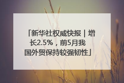 新华社权威快报｜增长2.5%，前5月我国外贸保持较强韧性