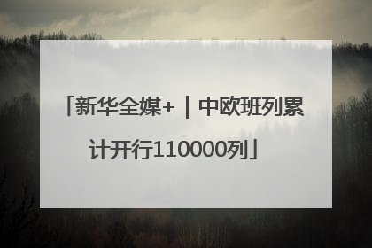 新华全媒+｜中欧班列累计开行110000列