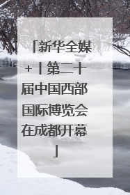 新华全媒+丨第二十届中国西部国际博览会在成都开幕