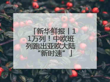 新华鲜报丨11万列！中欧班列跑出亚欧大陆“新时速”