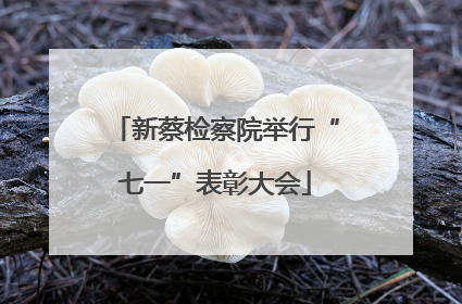 新蔡检察院举行“七一”表彰大会
