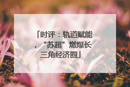 时评：轨道赋能，“苏超”燃爆长三角经济圈