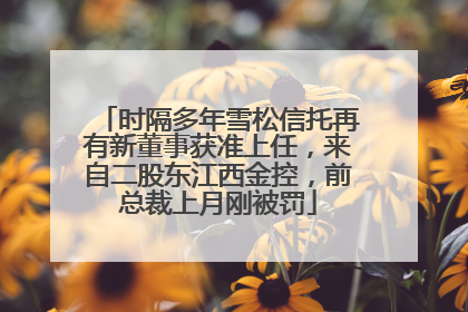 时隔多年雪松信托再有新董事获准上任，来自二股东江西金控，前总裁上月刚被罚