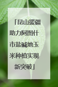 昆山援疆助力阿图什市盐碱地玉米种植实现新突破