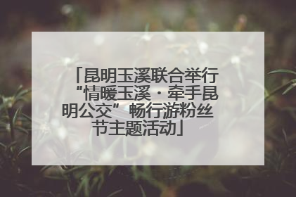 昆明玉溪联合举行“情暖玉溪・牵手昆明公交”畅行游粉丝节主题活动