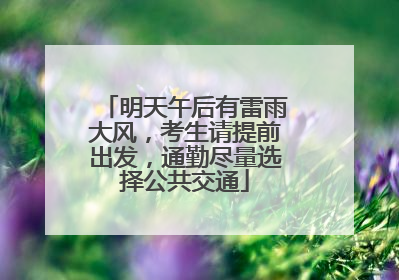 明天午后有雷雨大风，考生请提前出发，通勤尽量选择公共交通