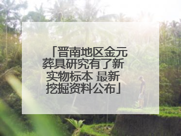 晋南地区金元葬具研究有了新实物标本 最新挖掘资料公布