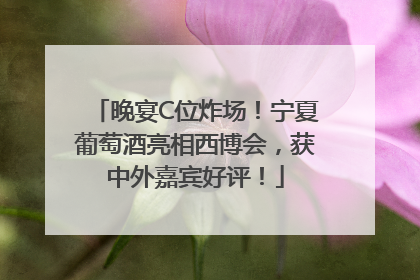 晚宴C位炸场！宁夏葡萄酒亮相西博会，获中外嘉宾好评！