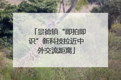 景德镇“即拍即识”新科技拉近中外交流距离