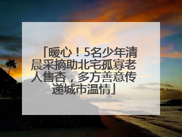 暖心！5名少年清晨采摘助北宅孤寡老人售杏，多方善意传递城市温情