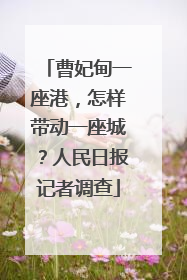 曹妃甸一座港，怎样带动一座城？人民日报记者调查