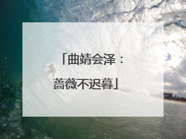 曲靖会泽：蔷薇不迟暮