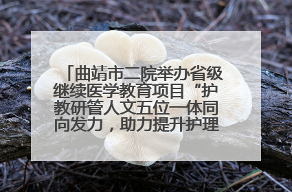曲靖市二院举办省级继续医学教育项目“护教研管人文五位一体同向发力，助力提升护理效能学习班”