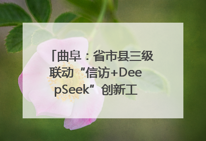 曲阜：省市县三级联动“信访+DeepSeek”创新工作新闻发布会举行