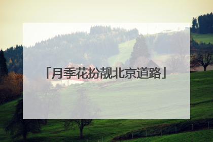 月季花扮靓北京道路