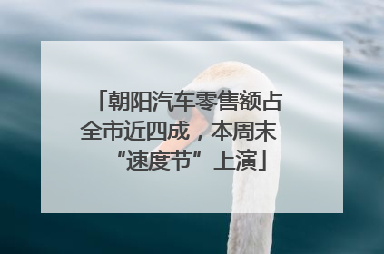 朝阳汽车零售额占全市近四成，本周末“速度节”上演