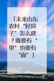 未来山东农村“好房子”怎么建？既要有“里”也要有“面”
