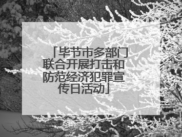 毕节市多部门联合开展打击和防范经济犯罪宣传日活动