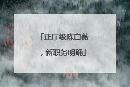 正厅级陈白薇，新职务明确