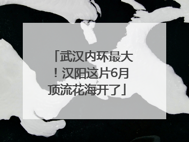 武汉内环最大！汉阳这片6月顶流花海开了