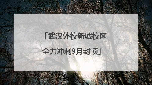 武汉外校新城校区全力冲刺9月封顶