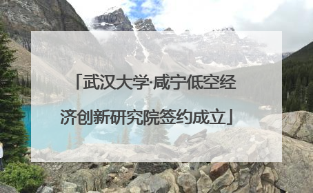 武汉大学·咸宁低空经济创新研究院签约成立