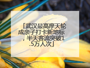 武汉最高摩天轮成亲子打卡新地标，半天客流突破1.5万人次
