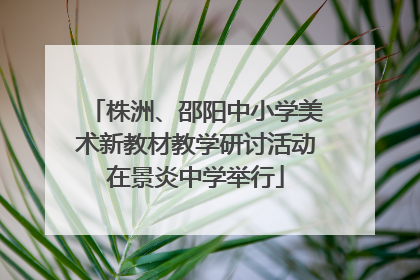 株洲、邵阳中小学美术新教材教学研讨活动在景炎中学举行
